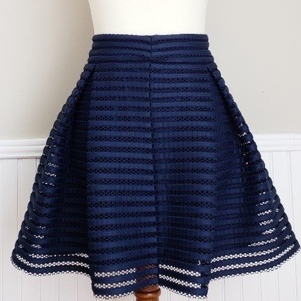 Express Striped Pleated Flare Navy Mini Skirt